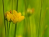 bew_dsc_2740_k