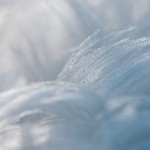 Bew_DSC_3244_k
