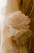 bew_dsc_2323_k