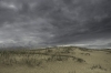 Kootwijkerzand