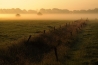 Landgoed Den Treek