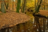 Leuvenumse beek