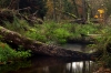 Leuvenumse beek