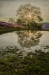 Veluwe Zoom