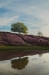 Veluwe Zoom