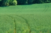 Zuid-Limburg