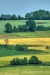Zuid-Limburg