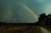 Regenboog