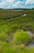 Vennen Hoge Veluwe