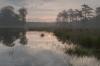 Het Hazenwater