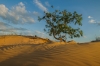 Kootwijkerzand