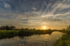 Bloeidaal