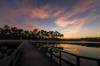 Henschotermeer