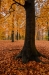 Den Treek