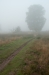 Den Treek-Henschoten