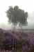Den Treek-Henschoten