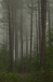 Den Treek-Henschoten