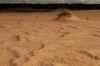 Lijnen in het zand