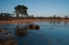 Hatertse Vennen