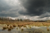 Langeveen