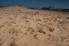Otterlose Zand