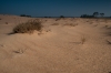 Otterlose Zand