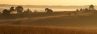 Veluwe Zoom