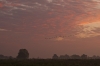 De Schammer