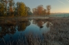 Het hazenwater