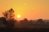 Veluwe Zoom