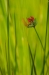 bew_dsc_2701_k
