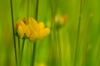 bew_dsc_2740_k