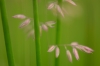 bew_dsc_2852_k