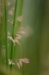 bew_dsc_2854_k