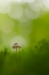 bew_dsc_4340_k