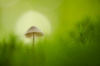 bew_dsc_4389_k