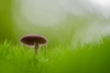 bew_dsc_4477_k