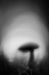 bew_dsc_4653_k