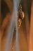 Spin